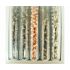 Пули H&N Hunting Sampler Set (набор) 5,5 мм, 155 штук